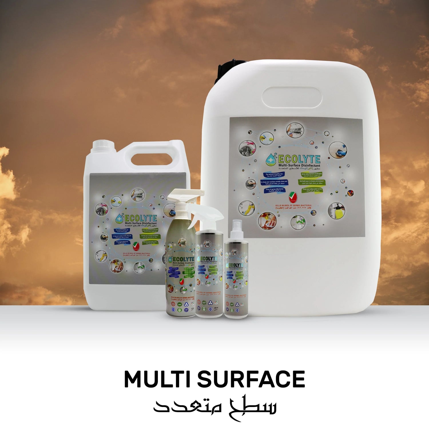 Ecolyte Multi-Surface Disinfectant