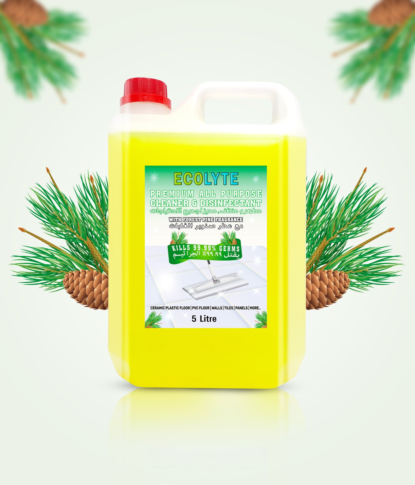 Floor Cleaner All Purpose Cleaner Plus Disinfectant